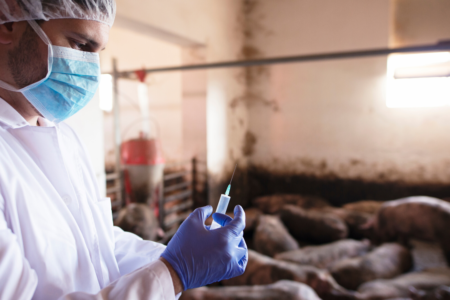 Regulatory Flexibility for Veterinary Medicines during COVID-19 Pandemic