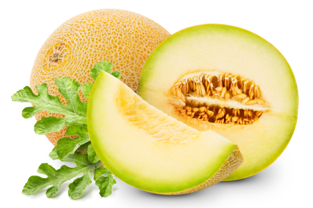 European discovery sheds light on how melon crops resist CMV virus
